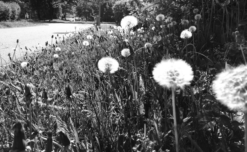 On That Malicious Thing Called Writer’s&nbsp;Block