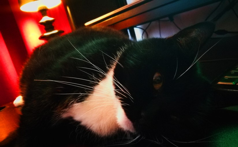 The Consequences of&nbsp;Jumping